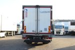 MAN TGM 15.250 - TK-T800 - Mono Temperatura LK207
