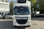 DAF LF 250 - Mono Temperatura LK240